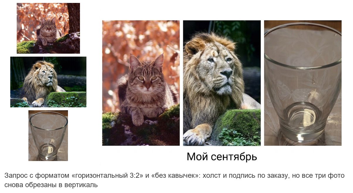 Запрос с форматом 3:2 и подписью без кавычек: холст горизонтальный и подпись без кавычек, но три фото по-прежнему обрезаны в вертикаль