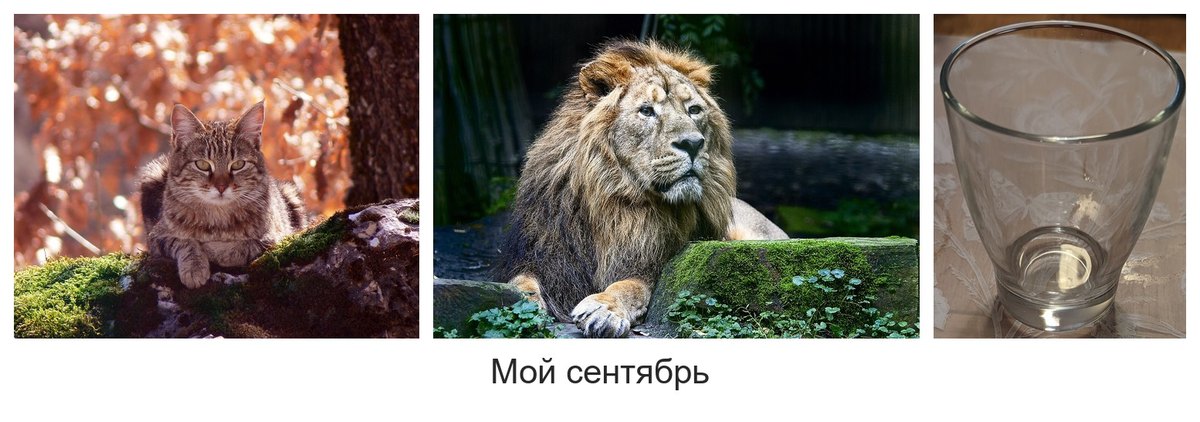 Обычная сетка без нейросети: три фото в ряд с сохранёнными пропорциями и подпись Мой сентябрь без кавычек