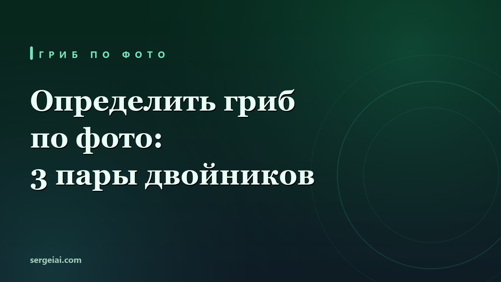 Определить гриб по фото: 4 нейросети на 3 парах двойников
