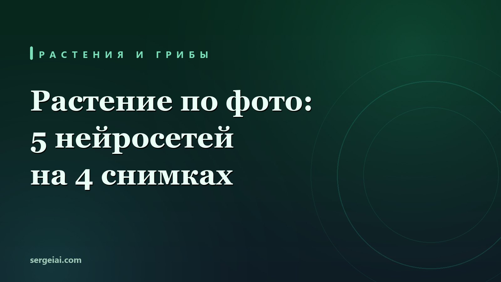 Определить растение по фото: 5 нейросетей на тесте из 4 снимков